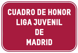 Liga juvenil de Madrid